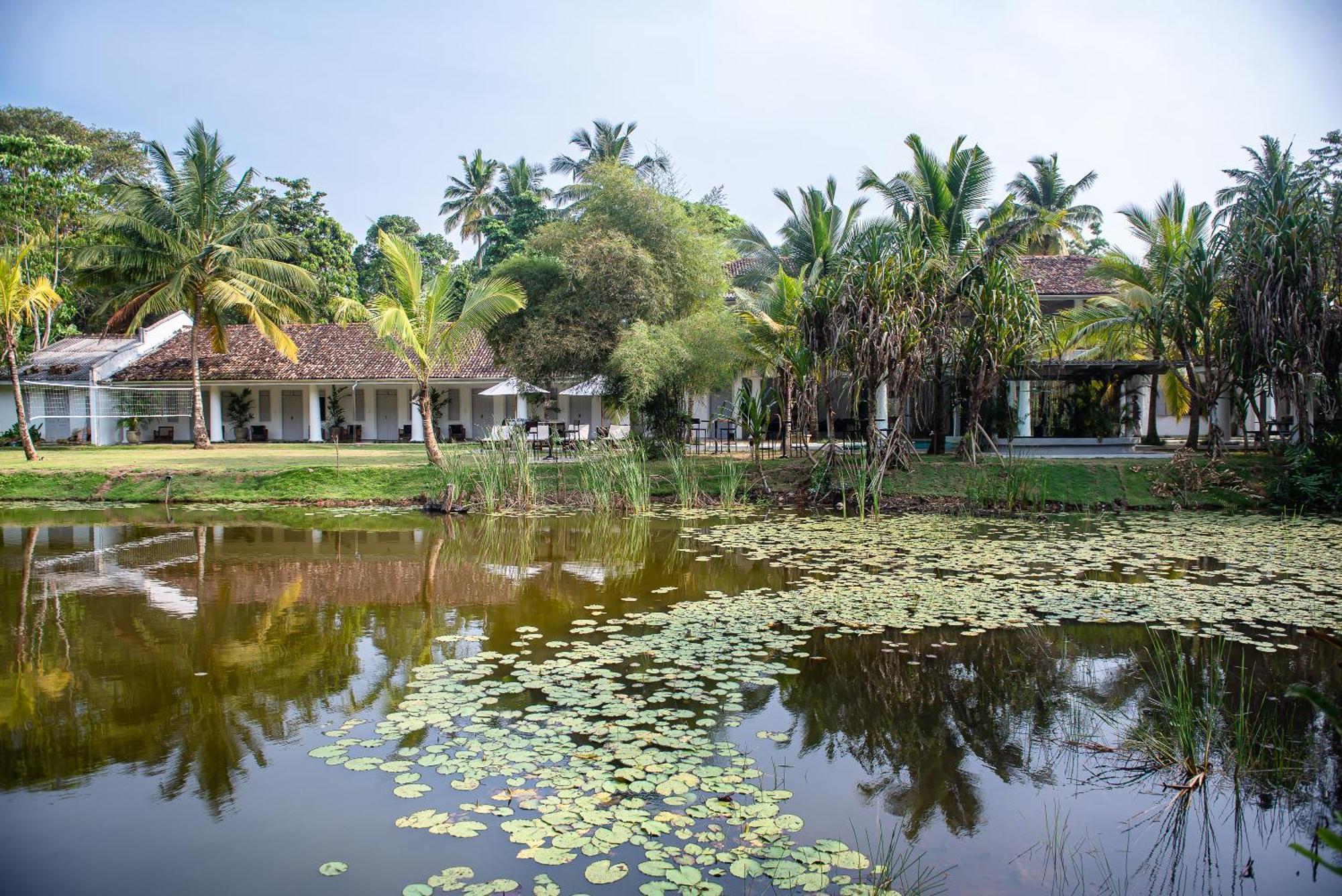 Good Story At Nirbana Island Bed & Breakfast Ahangama Ngoại thất bức ảnh