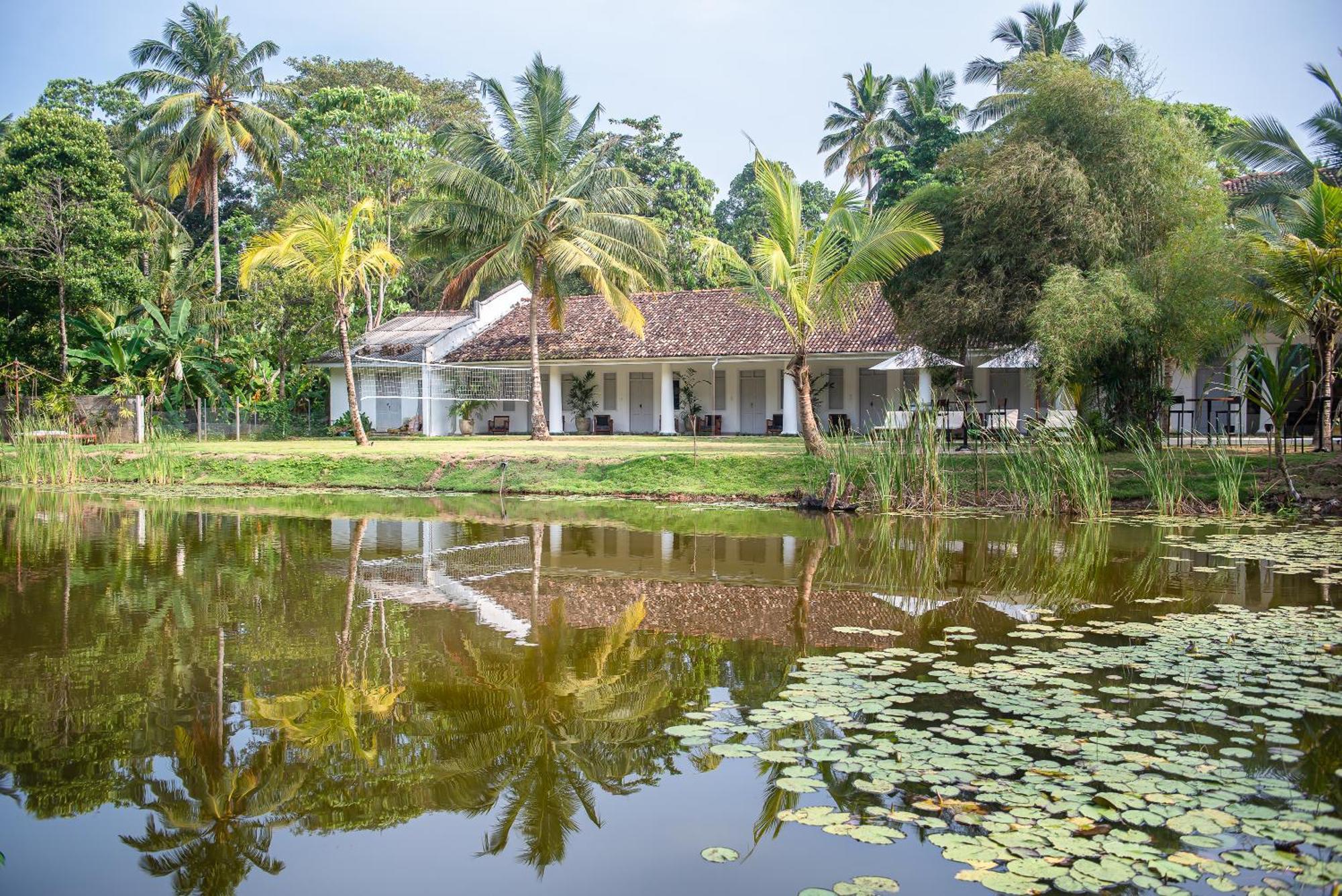 Good Story At Nirbana Island Bed & Breakfast Ahangama Ngoại thất bức ảnh
